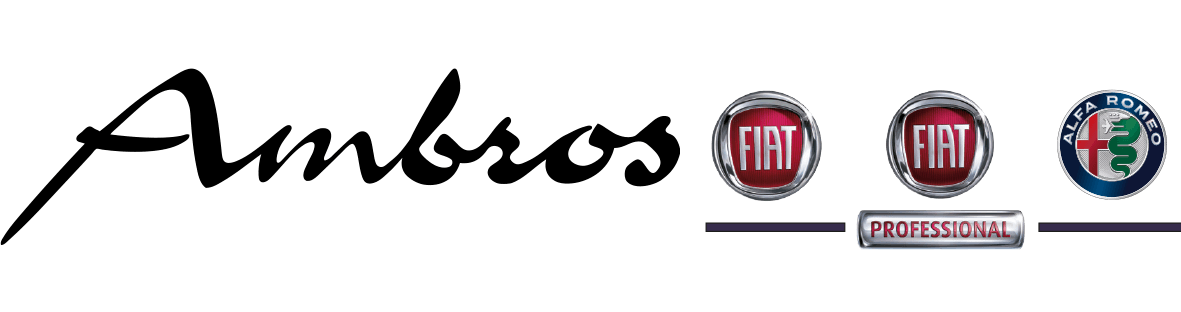 Firma Autohaus Ambros GmbH